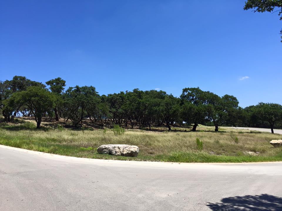 Land clearing result